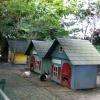 Village des lapins
