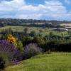 Vue sur la Vallée d'Auge