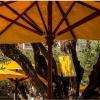 Le Provençal Café 
Place Pierre Coullet  Saint-Raphaël 
Mardi au Samedi : 8h - 19h