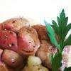 Rognons de veau sauce moutarde, Purée maison
