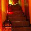Restaurant Le Riad
18 rue sainte catherine
29000 Quimper
0298709539