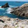 la côte sauvage entre Batz/mer et le Croisic