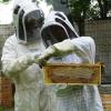 Le rucher de Leaya | Initiation & formation à l'apiculture