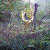 l'Arbre d'Or symbole de vie, de puissance et d'immortalité