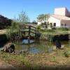 le jardin et son bassin