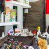 jouets et soins pour votre animal de compagnie