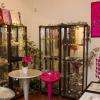 Vue du show room de Chantilly