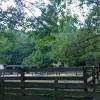 Le poney club...