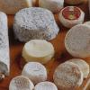 Fromages de chèvre AOP Sainte-Maure et Label Bleu Blanc Coeur