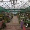 l'espace des plantes à l'intérieur
