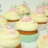 Cup cakes