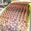 Chocolats fait maison, Pâtisserie Les Douceurs de Saclas, Saclas (91690)