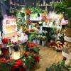  Espace Deuil à la boutique Les Fleurs d'Elisa, à Plaisance sur Touch (31830)