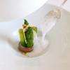 Le restaurant les Fresques au Château des Vigiers. Restaurant une étoile au guide Michelin 2014. Hôtel, golf et restaurant gastronomique en Dordogne dans le Sud-Ouest de la France