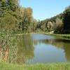 Lac de la Tricherie