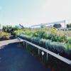 Crédit photo : page facebook, Les Jardins De Gabiani