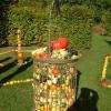 un puits de courges