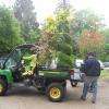 Pour le transport des plantes à votre voiture !