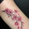 #cerisiertattoo #sakuraflowers #lesmarteauxpikeurs #lesmarteauxpikeurstattoo