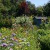 Jardin champêtre