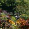 Lecture au jardin
