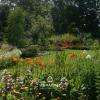 Un jardin refuge