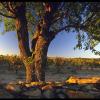 Vignobles - Agence Tourisme et Vins - Occitanie- Narbonne - Les Pépites du Sud