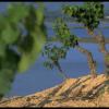 Méditerranée et Vignes - Excursions oenotourisme - Les pépites du sud - agence oenotourisme Narbonne Occitanie