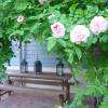 Pergola aux " Pommiers"
