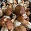  Les Poulettes Batignolles