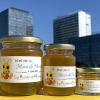 Miel de Montreuil, récolté et mis en pot par Les Ruchers de Montreuil, devant le centre ville et ses immeubles de Montreuil. Le miel de la Mairie de Montreuil est un miel urbain pur et récolté à froid