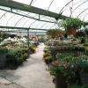 Jardinerie Pépinière Horticulture les Serres de la Droude, Vézénobres (30360)