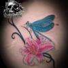 Tatouage d'une fleur de Lys et une libellule, en couleur...