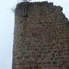 La nature a pris le dessus et la végétation envahit le château : très joli...