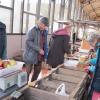 Vente de pommes, poires, pêches, cerises, abricots, coings Bio sur les marchés bio à Boursay (41), marché de Montoire sur le Loir (41), de Vendôme (41), Bessé sur Braye (72)