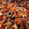 Paella 974