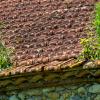 nettoyage de pignon 93