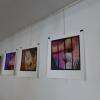Exposition