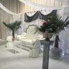 Location trone mariage