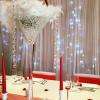 Location de vases et rideau led