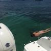 Activité plongée en bateau Martinique