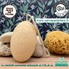 Savon au lait d'anesse artisanal ficelle bio 200g sans huile de palme
Notre lait est frais et bio provenant directement des ânesses de l’ile de ré ce qui nous permet de fabriqué dans notre savonnerie artisanale et familiale un savon ou shampooing au lait d anesse pour psoriasis par exemple .

- Dans votre commande recevez un cadeau ! -

Fini le savon volant, accrochez le dans votre douche, il séchera beaucoup plus vite et durera plus longtemps.

savon d'anesse Sans huile de palme et EDTA