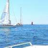 Bandol