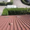 Peinture toiture Albi