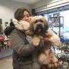 Lhassa apso