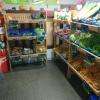 Légumes Bio et non Bio
