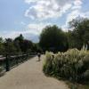 Le long du canal écluse de l'Abron