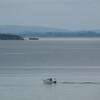 magnifique rade de brest