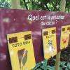 Parcours instructif - Maison du Cacao - Février 2015