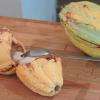 Cabosse - Maison du Cacao - Février 2015